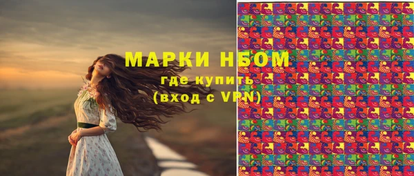 ALPHA PVP Осинники